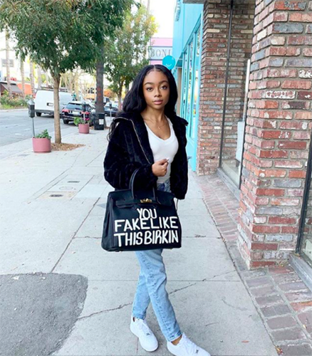 SONIQUE SATURDAY You Fake Like this Birkin HANDBAG REVIEW #yfltbbag  #birkinbag 