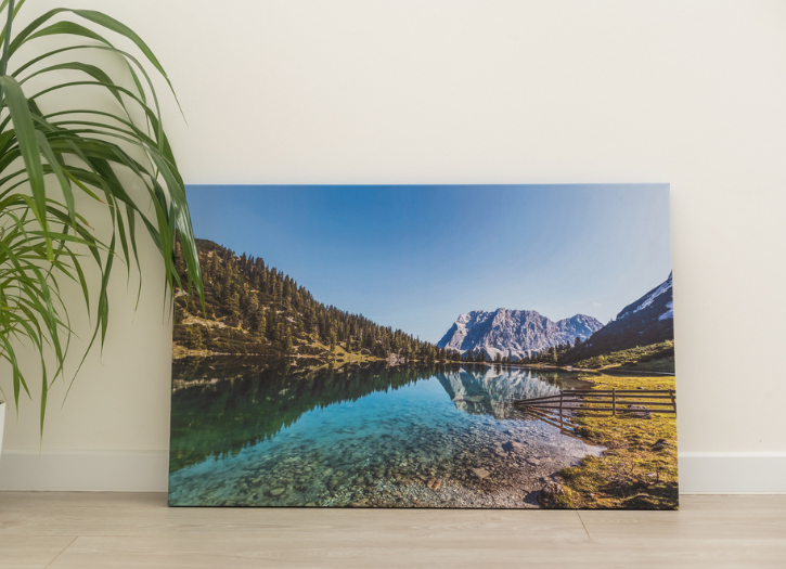 How Framed Canvas Prints Can Add Elegance to Your Walls